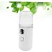 Beavorty 2pi ces Mini Humidificateur Portable Spray Hydratant Nano Brume Pour Peau Dispositif De R hydratation Pratique Et l gant 10cmX4cmx2pcs Blancx2pcs - Buy Online on GoSupps.com