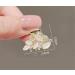 Crystal Hair Clips Leaf Clip Headdress Hair Clip Female small cat eyes stone Leaf Small Hair Catch Bangs Top Clip Hairpin Shark Clip Decorative Hair Accessories for Women Girls - Buy Online on GoSupps.com