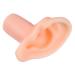 Beavorty Ear Model Silicone Ear Mold Imitation Ear Mold Simulation Ear Mold