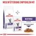 Royal Canin Expert Neutered Satiety Balance | 3.5 kg | Dry Food for Castrated Cats Up to 7 Years | Balanced Nutrient Content - Buy Online on GoSupps.com