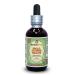 Small Flower Willow (Epilobium parviflorum) Glycerite Dried Herb Alcohol-Free Liquid Extract 2 oz Alcohol-FREE 2 Fl Oz (Pack of 1)