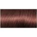 L'Or al Paris Preference Permanent Color Infinia 5.23 Rosegold Chestnut - Buy Online on GoSupps.com