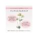 Dr. Hauschka Hydrating Hand Cream - Intense Moisture for Soft Nourished Skin - Worldwide Shipping Available - Buy Online on GoSupps.com