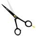 NARZ Professional Hairdressing Scissors - 6 Stainless Steel Hair Cutting Scissors for Men & Women - Ideal for Barbers & Hairdressers - Royal Black - Buy Online on GoSupps.com