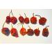Wicked Reaper Carolina Reaper Chili Peppers - 10 Pack + 2 Free | Hottest Dried Spice - Buy Online on GoSupps.com