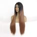 Silky Long Straight Lace Front Wig - 2 Tone Gradient Heat-Resistant Synthetic Hair for Daily & Cosplay 16in & 18in - Buy Online on GoSupps.com