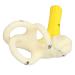 Anggrek Ear Semicircular Canal Model 5X Magnification | Inner Ear Cochlea Anatomical Structure - Buy Online on GoSupps.com