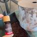 Baobab Oil 210 ml | Handcrafted 100% Natural Wild-Harvested Unrefined & Cold-Pressed | International Shipping - Buy Online on GoSupps.com