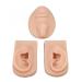 Buy 2 Silicone Ear Models for Piercing & Jewelry Presentation | Realistic Soft Flexible Artificial Ear - Medium Skin Color - Buy Online on GoSupps.com