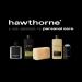 Hawthorne Sophisticated and Spicy Oud Cologne. A Rich and Captivating Fragrance of Rare Agarwood with Seville Orange and Egyptian Geranium Notes. 50 mL - 1.7 Fl Oz. Sophisticated & Spicy Oud - Buy Online on GoSupps.com