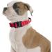 Buy Tspro Premium Dog Collar with Handle - Adjustable Heavy-Duty Collar for Small to Extra Large Dogs (Red Size M 37-46cm) - Quick Lock Metal Buckle - Buy Online on GoSupps.com