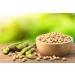 Tasty Pott Boo Soybean - High-Protein Soy Beans for Vegan Stews & Salads | 1000g Bag - Buy Online on GoSupps.com