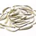Yunnan Yin Zhen Silver Needle White Tea - 2.8oz/80g | Chinese Silver Tips Tea | 40 Cups - Buy Online on GoSupps.com
