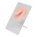 Professional simulated 3D tongue model for piercing exercises with stands silicone material reusable and easy to clean (bright skin color)