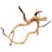 Aqua One Azalea Root Aquarium Decoration 20-30 cm 20 - 30 cm - Buy Online on GoSupps.com