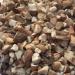 Dry Singhara Chest Nut 200 Gm - Buy Online on GoSupps.com