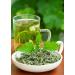 Health Embassy Stinging Nettle Leaf | Urtica Dioica L | Herbal Tea (100g) - Buy Online on GoSupps.com