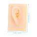 Beavorty Ear Presentation Model - Silicone Ear Mold for Hearing Aid Display & Teaching - International Shipping Available - Buy Online on GoSupps.com