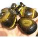 Natural Polished Crystals Tiger Eye Palm Stones for Home Decoration Stone Mineral Specimen - Buy Online on GoSupps.com