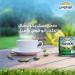 Rainbow Evaporated Milk with Cardamom 6oz - 6 Cans, Full Cream Sterilized 170gm - Buy Online on GoSupps.com