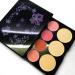 Buy Ladies Vegan Makeup Kit - All-in-One Eye Shadow Palette & Blush Set - Multi Colored Gift Box - Buy Online on GoSupps.com