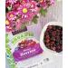 Buy Stoneridge Orchards Organic Mixed Berries 4 oz - Healthy Snack Option - Buy Online on GoSupps.com