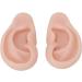 Silicone Human Ear Model Realistic Practice Experience Easy Use Soft Reusable Artificial Ear Model Simulation for Ear Piercing Teaching(Medium Skin Color) - Buy Online on GoSupps.com