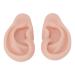 Silicone Ear Model for Piercing Practice Reusable, Easy-to-Use, Medium Skin Color - Buy Online on GoSupps.com