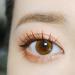 CORINGCO False Eyelashes Natural Look Brown Eye Lashes Extension Kit - Self Adhesive Individual Eyelashes - 10mm 11mm 12mm - 200 Cluster Korean Makeup - Buy Online on GoSupps.com