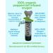 Flavored: 10L Pure Oxygen Canister | Flavored and Infused with Organic Peppermint. 99.7% Supplemental Oxygen Can | Patented Compact Compression Technology | Enhances Concentration Performance Energy & Recovery | Ideal for Sports Study & Travel | 3 Pack |  - Buy Online on GoSupps.com