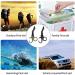 Buy 19.1 cm Titanium Medical Scissors - EMT & Trauma Bandage Scissors with Pocket Clip | 2 Pieces for First Aid Nurses & Students - International Shipping Available - Buy Online on GoSupps.com