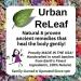 Urban ReLeaf NETI Salt Air Relief Inhalers - Set of 2 | Natural Sinus & Lung Wellness with Himalayan Botanicals | Aromatherapy for Colds Asthma & Cough - Buy Online on GoSupps.com