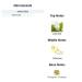 Perfume and Cologne Oil for Women and Men - Roller Ball - Designer Type - Our Version Of (G Bloom - her) - Buy Online on GoSupps.com