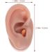 Buy Minkissy Silicone Human Right Ear Model | Fake Ear for Piercing & Acupuncture Simulation | 6.5x3.5 cm - Ideal for Body Part Ads - Buy Online on GoSupps.com