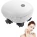 Palank Electric Hand Head Massager - Wireless Scalp Massager & Hair Growth Stimulator Brush Rechargeable & Portable for Ultimate Relaxation - Buy Online on GoSupps.com