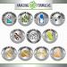 Amazing Formulas Coral Calcium Complex 1000mg 200 Capsules - Non-GMO, Gluten Free, Made in USA - Buy Online on GoSupps.com