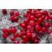 AKNA Organic Goji Powder 2 x 227g Resealable Bags - Buy Online on GoSupps.com