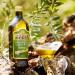 Filippo Berio Classic Olive Oil 500ml - 1 Pack - Buy Online on GoSupps.com