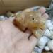 Specimen 1pc 50mm Natural Orange Calcite Stones and Crystals Carved Rock Crystal Frog StatueStone Stone Crystal Reiki - Buy Online on GoSupps.com