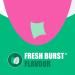 Listerine Freshburst Pocketpaks Breath Strips 24-Strip Pack 3 Pack - Buy Online on GoSupps.com