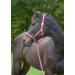 Buy Kerbl Nylon Halter Hippo - Adjustable Halter for Ponies Shetlands and Full Cob Sizes in 6 Colors | International Shipping Available - Buy Online on GoSupps.com