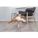 Buy Meaningist Bauchi 40cm Plush Toys - Soft High-Quality International Shipping - Buy Online on GoSupps.com