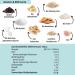 Buy Organic Vegan Cookie Dough Nomnoms - Creamy Nutmus Protein Bites (Big Pack 15 Bits) - Healthy Protein Bar Alternative - Buy Online on GoSupps.com