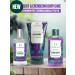 Black Grape Body Mist - 100ML | Vegan | Fresh & Juicy Fragrance - Buy Online on GoSupps.com
