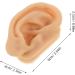 GALPADA 1 Pair Silicone Ear Model - Realistic Artificial Ear Mold for Picking Training - Fake Body Part for Piercing Acupuncture Practice Classroom and Home Decor - Buy Online on GoSupps.com