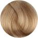 Fanola Cream Colore Colouring Cream 10.13 Blonde Platinum Beige 100 ml 10.13 Blonde Platinum Beige 100 ml (Pack of 1) - Buy Online on GoSupps.com