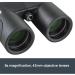 Celestron Nature DX ED 8x42 Premium Binoculars - Waterproof and Fogproof with Extra-Low Dispersion Lenses - Buy Online on GoSupps.com