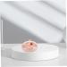 Clispeed Storage Box for Prostheses - Travel Fuse Clip Aligner Case & Retainer Cleaning Carrier Bag - ABS 10x8.4x2.7cm Rosa - Buy Online on GoSupps.com