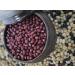 McCabe Organic Adzuki Bean 2 lb - USDA & CCOF Certified - 2 Pound Pack - Buy Online on GoSupps.com