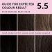 Josh Wood Permanent Colour 5.5 Brown - Ammonia-Free, Celebrity-Approved Dye for 100% Grey Coverage - Vegan & Natural-Looking Hair Dye - Buy Online on GoSupps.com